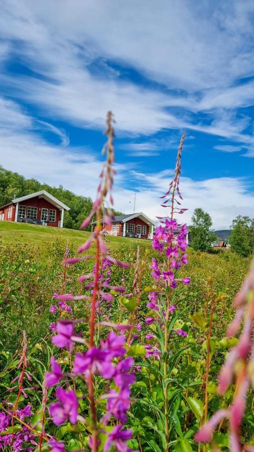 Levajok Fjellstue Villa Tana Eksteriør bilde